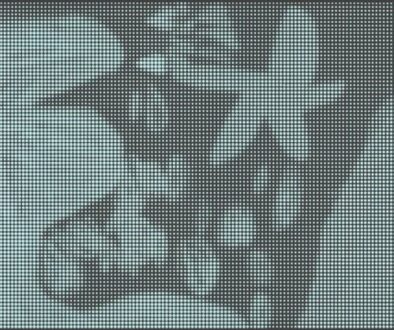 Llibre_metamorfosi_costa