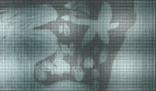 Llibre_metamorfosi_costa