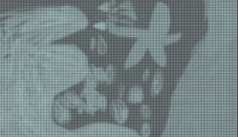 Llibre_metamorfosi_costa